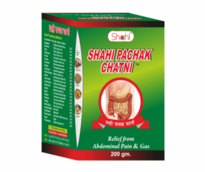 Shahi Pachak Chatni