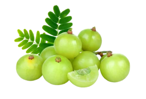 Amla